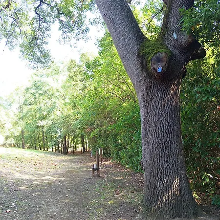 Apartment Le Chant Des Cigales